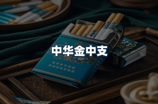 中华金中支